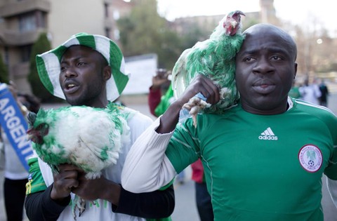 Cổ động viên Nigeria bị cấm mang gà vào sân vận động World Cup 2018 - Ảnh 3. Cổ động viên Nigeria bị cấm mang gà vào sân vận động World Cup 2018 - Ảnh 3.