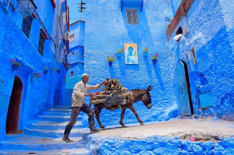 Sài Gòn sôi động, Cape Town sắc màu trên NatGeo - Ảnh 2. Sài Gòn sôi động, Cape Town sắc màu trên NatGeo - Ảnh 2.