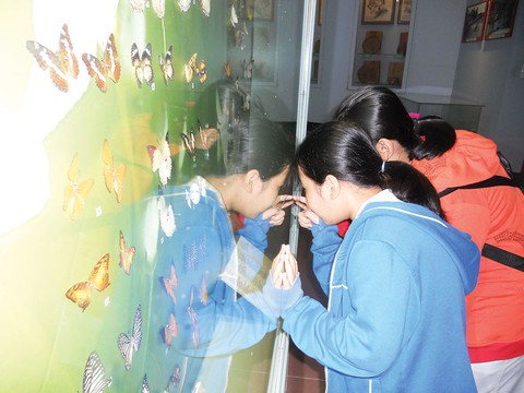 Ngày hè của trẻ ở bảo tàng, miền quê - Ảnh 1. Ngày hè của trẻ ở bảo tàng, miền quê - Ảnh 1.
