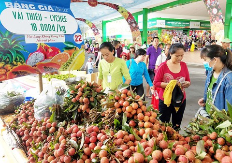 Vải thiều được mùa giá tốt, siêu thị tăng xuất khẩu - Ảnh 1. Vải thiều được mùa giá tốt, siêu thị tăng xuất khẩu - Ảnh 1.