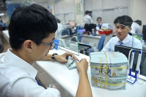 Giá USD tăng cao, bình tĩnh mà lo! - Ảnh 1. Giá USD tăng cao, bình tĩnh mà lo! - Ảnh 1.
