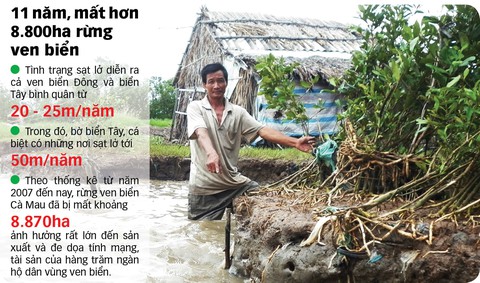 Tả tơi đất mũi - Ảnh 4. Tả tơi đất mũi - Ảnh 4.