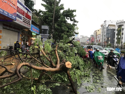 Sài Gòn giờ mưa lớn không ngập mới lạ - Ảnh 6. Sài Gòn giờ mưa lớn không ngập mới lạ - Ảnh 6.