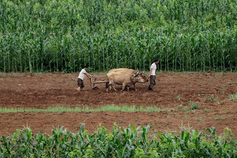 Mỹ, Hàn sẽ giúp kinh tế Triều Tiên ra sao? - Ảnh 1. Mỹ, Hàn sẽ giúp kinh tế Triều Tiên ra sao? - Ảnh 1.