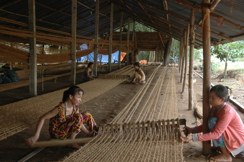 Dừa 101 công dụng - Ảnh 1. Dừa 101 công dụng - Ảnh 1.