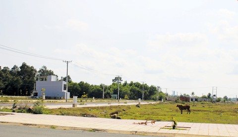 Đất nền TP.HCM giảm nhiệt chứ chưa giảm giá mạnh - Ảnh 1. Đất nền TP.HCM giảm nhiệt chứ chưa giảm giá mạnh - Ảnh 1.