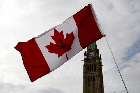 Thượng viện Canada phê chuẩn luật cho dùng cần sa tiêu khiển - Ảnh 1. Thượng viện Canada phê chuẩn luật cho dùng cần sa tiêu khiển - Ảnh 1.