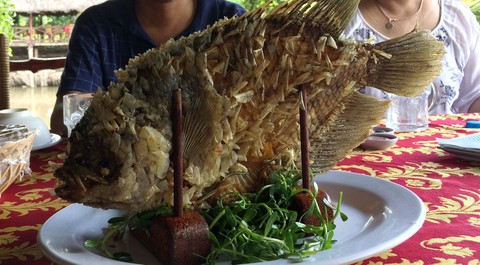 Có nên dùng thuốc dưỡng não mùa thi? - Ảnh 1. Có nên dùng thuốc dưỡng não mùa thi? - Ảnh 1.