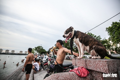 Hà Nội nắng nóng, bãi tắm hồ Tây đông đúc người tắm giải nhiệt - Ảnh 5. Hà Nội nắng nóng, bãi tắm hồ Tây đông đúc người tắm giải nhiệt - Ảnh 5.