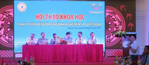 Một ngày trên đảo yến - Ảnh 3. Một ngày trên đảo yến - Ảnh 3.