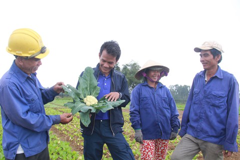 Trồng rau sạch, sống khỏe ở miền Trung - Ảnh 2. Trồng rau sạch, sống khỏe ở miền Trung - Ảnh 2.