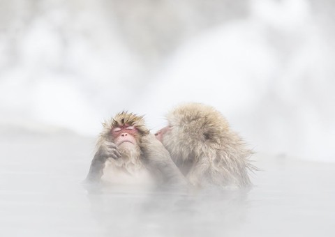 Ảnh thiên nhiên đẹp ngẩn ngơ từ cuộc thi ảnh du lịch NatGeo - Ảnh 1. Ảnh thiên nhiên đẹp ngẩn ngơ từ cuộc thi ảnh du lịch NatGeo - Ảnh 1.