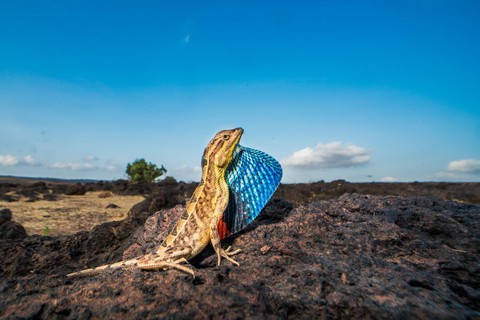 Ảnh thiên nhiên đẹp ngẩn ngơ từ cuộc thi ảnh du lịch NatGeo - Ảnh 14. Ảnh thiên nhiên đẹp ngẩn ngơ từ cuộc thi ảnh du lịch NatGeo - Ảnh 14.