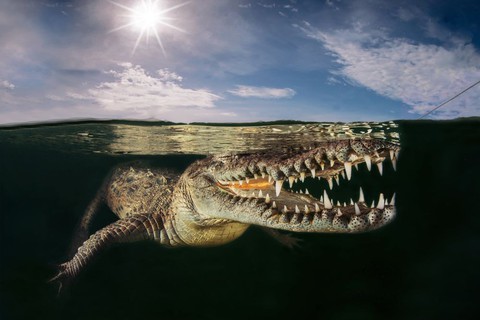 Ảnh thiên nhiên đẹp ngẩn ngơ từ cuộc thi ảnh du lịch NatGeo - Ảnh 15. Ảnh thiên nhiên đẹp ngẩn ngơ từ cuộc thi ảnh du lịch NatGeo - Ảnh 15.