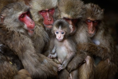 Ảnh thiên nhiên đẹp ngẩn ngơ từ cuộc thi ảnh du lịch NatGeo - Ảnh 16. Ảnh thiên nhiên đẹp ngẩn ngơ từ cuộc thi ảnh du lịch NatGeo - Ảnh 16.