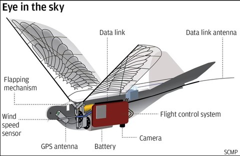 Trung Quốc giám sát người dân bằng drone robot hình chim - Ảnh 1. Trung Quốc giám sát người dân bằng drone robot hình chim - Ảnh 1.