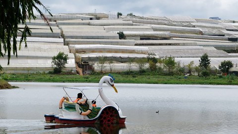 Nhà kính bao vây Đà Lạt, màu trắng ảm đạm lấn lướt màu xanh - Ảnh 4. Nhà kính bao vây Đà Lạt, màu trắng ảm đạm lấn lướt màu xanh - Ảnh 4.