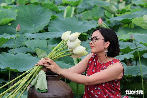 Sen hồ Tây nở rộ, giới trẻ đua nhau chụp hình - Ảnh 6. Sen hồ Tây nở rộ, giới trẻ đua nhau chụp hình - Ảnh 6.