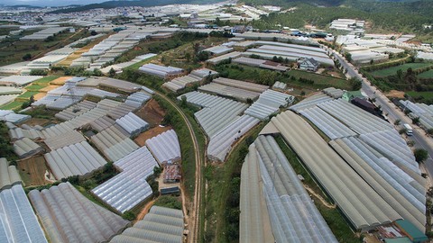 Nhà kính bao vây Đà Lạt, màu trắng ảm đạm lấn lướt màu xanh - Ảnh 2. Nhà kính bao vây Đà Lạt, màu trắng ảm đạm lấn lướt màu xanh - Ảnh 2.