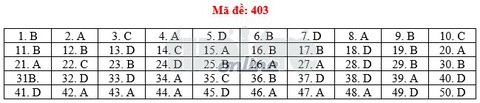 Bài giải môn tiếng Anh THPT quốc gia - Ảnh 4. Bài giải môn tiếng Anh THPT quốc gia - Ảnh 4.
