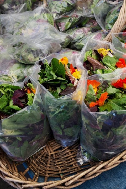 Mách nàng công sở mẹo làm salad ngon đúng chuẩn nhà hàng - Ảnh 1. Mách nàng công sở mẹo làm salad ngon đúng chuẩn nhà hàng - Ảnh 1.