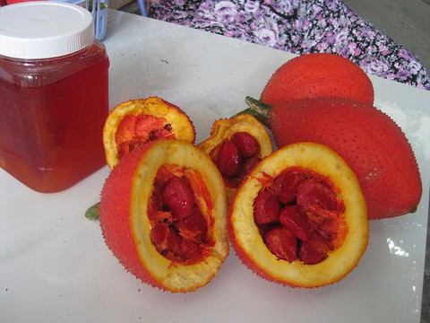 gấc gấc
