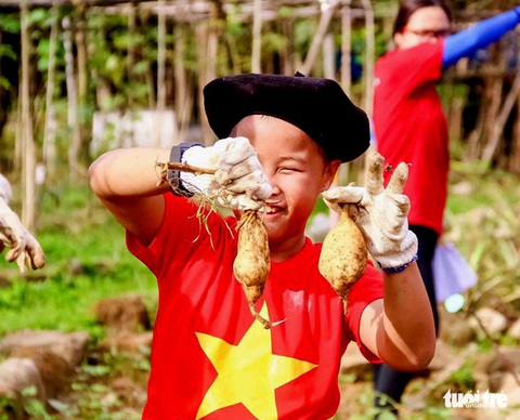 Trẻ trồng rau, cuốc đất trong kỳ nghỉ hè - Ảnh 3. Trẻ trồng rau, cuốc đất trong kỳ nghỉ hè - Ảnh 3.