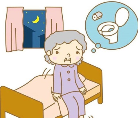 Giải pháp cải thiện tình trạng tiểu đêm - Ảnh 1. Giải pháp cải thiện tình trạng tiểu đêm - Ảnh 1.