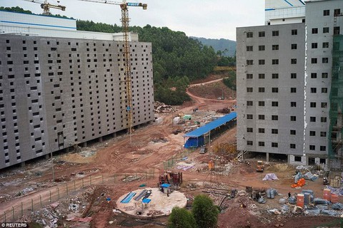 Khách sạn long lanh chỉ để nuôi heo ở Trung Quốc - Ảnh 2. Khách sạn long lanh chỉ để nuôi heo ở Trung Quốc - Ảnh 2.