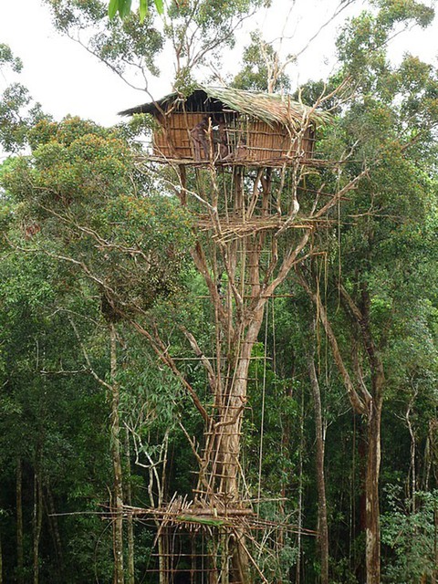 Papua New Guinea huyền ảo với Lễ hội mừng độc lập - Ảnh 10. Papua New Guinea huyền ảo với Lễ hội mừng độc lập - Ảnh 10.