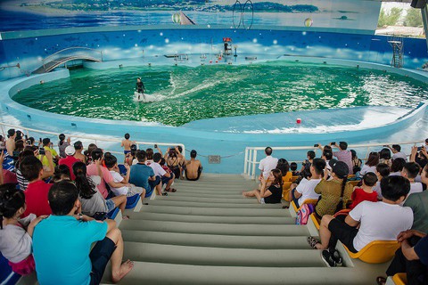 Baara Land – thêm lựa chọn nghỉ dưỡng giải trí ngay gần thủ đô - Ảnh 1. Baara Land – thêm lựa chọn nghỉ dưỡng giải trí ngay gần thủ đô - Ảnh 1.