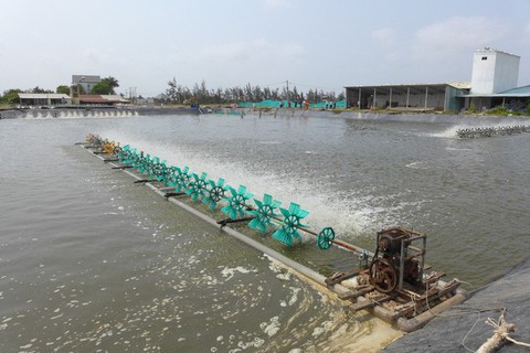 EVN SPC đạt giải nhất cuộc thi Sáng kiến vì cộng đồng - Ảnh 2. EVN SPC đạt giải nhất cuộc thi Sáng kiến vì cộng đồng - Ảnh 2.