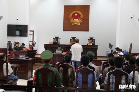 Xét xử phó đồn trưởng biên phòng đạo diễn phá rừng pơmu - Ảnh 1. Xét xử phó đồn trưởng biên phòng đạo diễn phá rừng pơmu - Ảnh 1.
