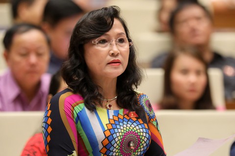 Bộ trưởng Trần Hồng Hà: Thấy người nước ngoài mua đất thì báo tôi - Ảnh 4. Bộ trưởng Trần Hồng Hà: Thấy người nước ngoài mua đất thì báo tôi - Ảnh 4.