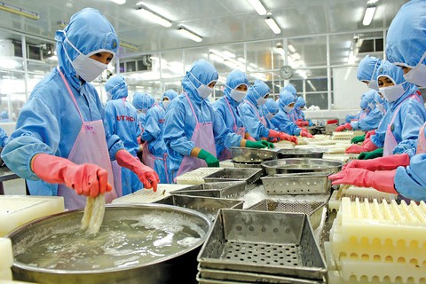 Tôm Việt tìm đường “bơi” sang Úc - Ảnh 2. Tôm Việt tìm đường “bơi” sang Úc - Ảnh 2.