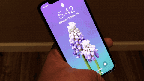 iOS 12 cho phép đăng ký thêm người khác dùng Face ID - Ảnh 1. iOS 12 cho phép đăng ký thêm người khác dùng Face ID - Ảnh 1.