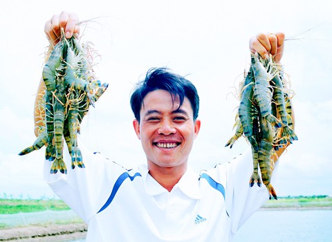 Khởi nghiệp nuôi tôm sạch từ... phòng trọ - Ảnh 1. Khởi nghiệp nuôi tôm sạch từ... phòng trọ - Ảnh 1.