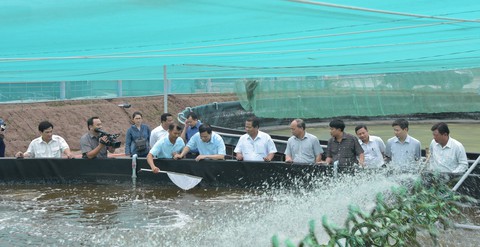 Đưa Việt Nam trở thành “thủ phủ” ngành tôm - Ảnh 1. Đưa Việt Nam trở thành “thủ phủ” ngành tôm - Ảnh 1.