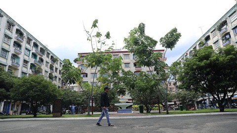 Một ông Tây đến ở, cả xóm chung cư tôi lặng như tờ... - Ảnh 1. Một ông Tây đến ở, cả xóm chung cư tôi lặng như tờ... - Ảnh 1.