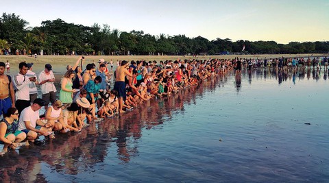 Đi Sri Lanka, Indonesia học bảo tồn rùa biển - Ảnh 7. Đi Sri Lanka, Indonesia học bảo tồn rùa biển - Ảnh 7.