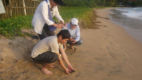 Đi Sri Lanka, Indonesia học bảo tồn rùa biển - Ảnh 3. Đi Sri Lanka, Indonesia học bảo tồn rùa biển - Ảnh 3.