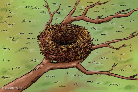 Điều gì sẽ xảy ra nếu bạn... không tắm một năm? - Ảnh 5. Điều gì sẽ xảy ra nếu bạn... không tắm một năm? - Ảnh 5.