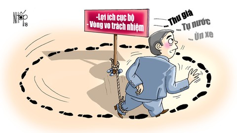 Chuyện em Giá - Ảnh 1. Chuyện em Giá - Ảnh 1.