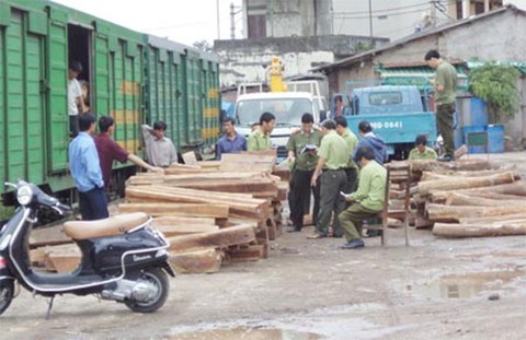 Truy tố 3 cán bộ hải quan trong kỳ án gỗ trắc - Ảnh 2. Truy tố 3 cán bộ hải quan trong kỳ án gỗ trắc - Ảnh 2.