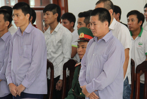 Đại úy phá rừng pơmu nhận án cao hơn đề nghị - Ảnh 1. Đại úy phá rừng pơmu nhận án cao hơn đề nghị - Ảnh 1.