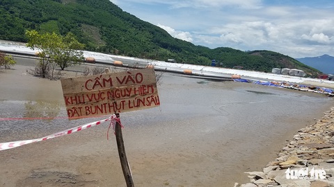Tôm chết hàng loạt nghi do dự án hút bùn ở cảng Chân Mây - Ảnh 3. Tôm chết hàng loạt nghi do dự án hút bùn ở cảng Chân Mây - Ảnh 3.
