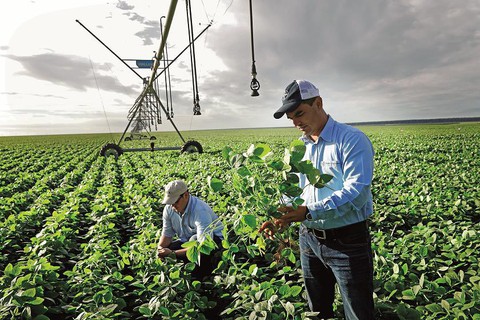 Bayer hoàn tất thương vụ sáp nhập lịch sử trong ngành nông nghiệp toàn cầu - Ảnh 1. Bayer hoàn tất thương vụ sáp nhập lịch sử trong ngành nông nghiệp toàn cầu - Ảnh 1.
