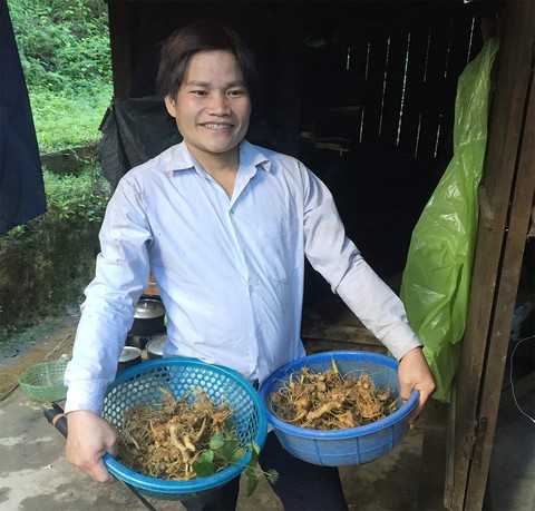 Tìm trộm sâm Ngọc Linh bằng... luật làng - Ảnh 3. Tìm trộm sâm Ngọc Linh bằng... luật làng - Ảnh 3.