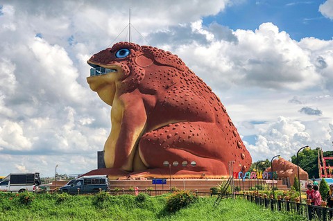 Thế giới trong tuần qua ảnh: World Cup và thượng đỉnh Mỹ Triều phủ khắp các mặt báo - Ảnh 16. Thế giới trong tuần qua ảnh: World Cup và thượng đỉnh Mỹ Triều phủ khắp các mặt báo - Ảnh 16.