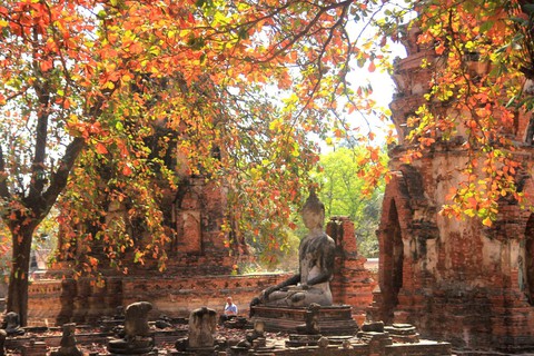 Một ngày thú vị ở cố đô Ayutthaya - Ảnh 3. Một ngày thú vị ở cố đô Ayutthaya - Ảnh 3.